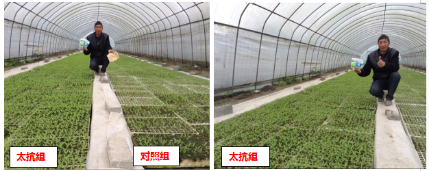 1513332558872401AsTr.png blob.png