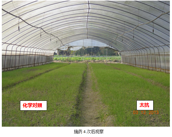 15133331044130266Fc6.png blob.png