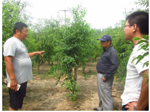 1513334113203901Cuyr.png blob.png