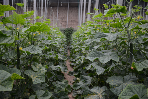 1527755411789965pDgK.png 圖片7.png