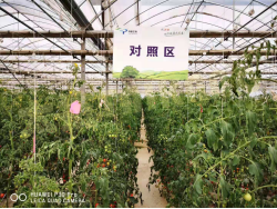 1574819030201457EMNQ.png blob.png