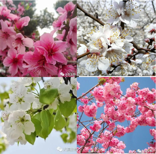 1587375249937495BXfl.png image.png