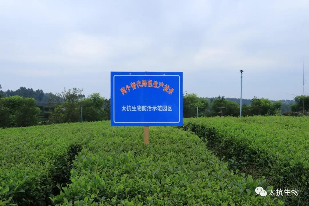 1634396665313285qWT5.jpg 微信圖片_20211016230403.jpg