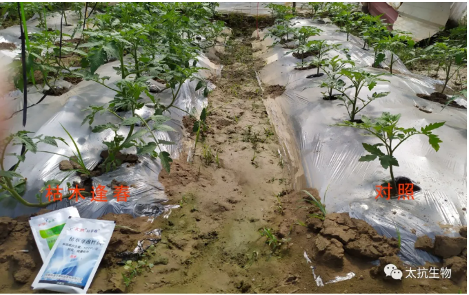 1638348795263839k7Yz.png 微信截圖_20211201170053.png